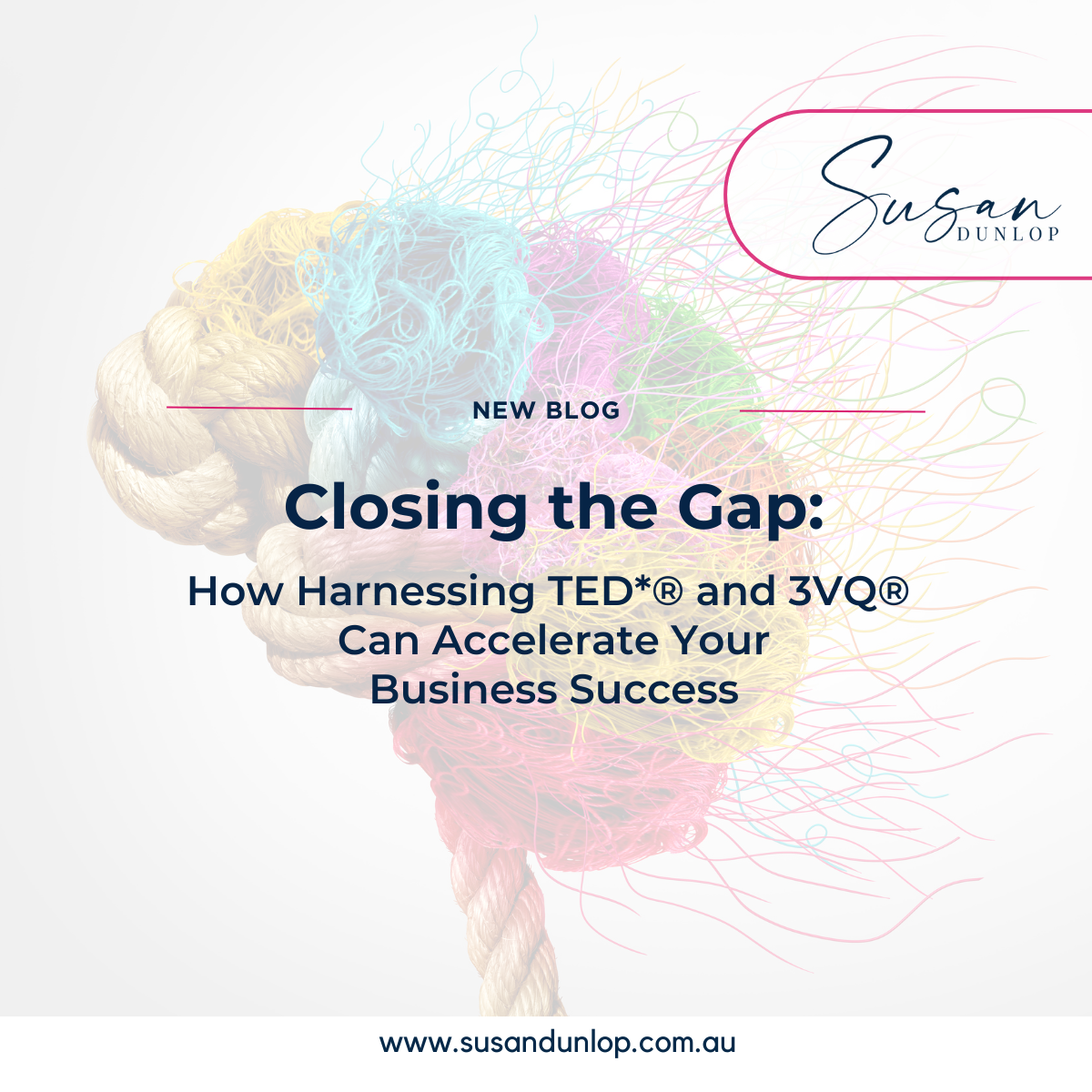 Closing the Gap: How Harnessing TED* and 3VQ can accelerate your business success
