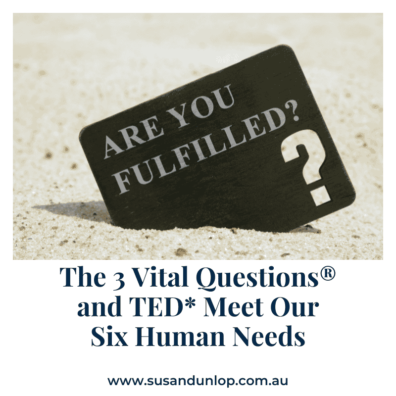 3VQ meet 6 human needs