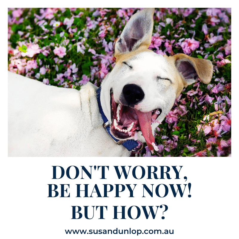 DONT WORRY BE HAPPY NOW BUT HOW