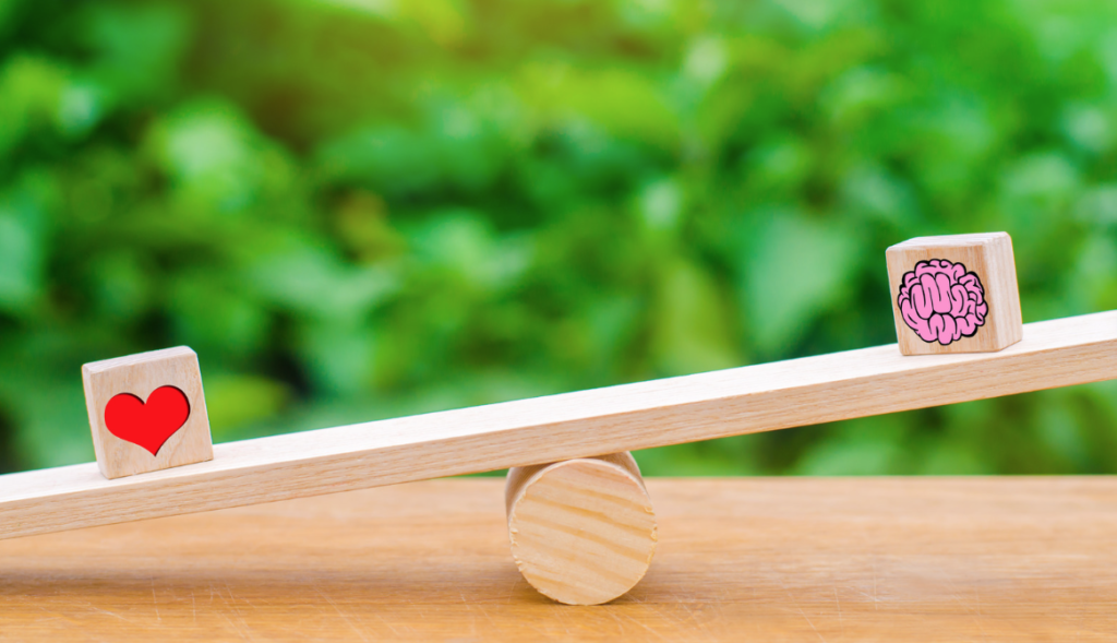 See-saw with a heart and mind