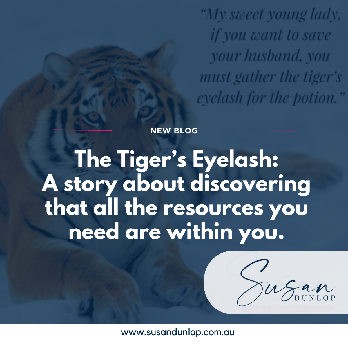 The Tiger's Eyelash metaphor blog